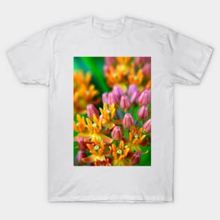 Beautiful Butterfly Flower T-Shirt